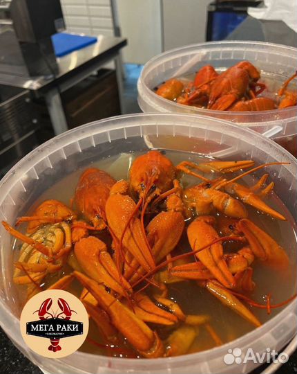 Живые раки. Вкусно сварим и доставим