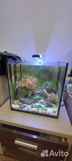 Морской аквариум