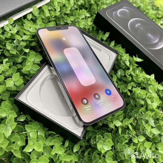 iPhone 12 Pro Graphite