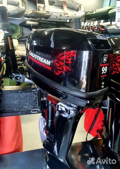 Лодочный мотор Golfstream (Гольфстрим) Т 9.9 вмs E