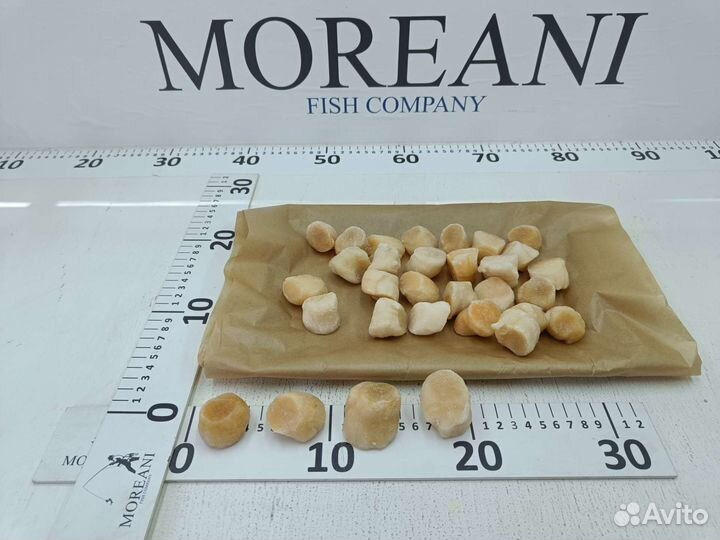 Филе морского гребешка свежемороженое L