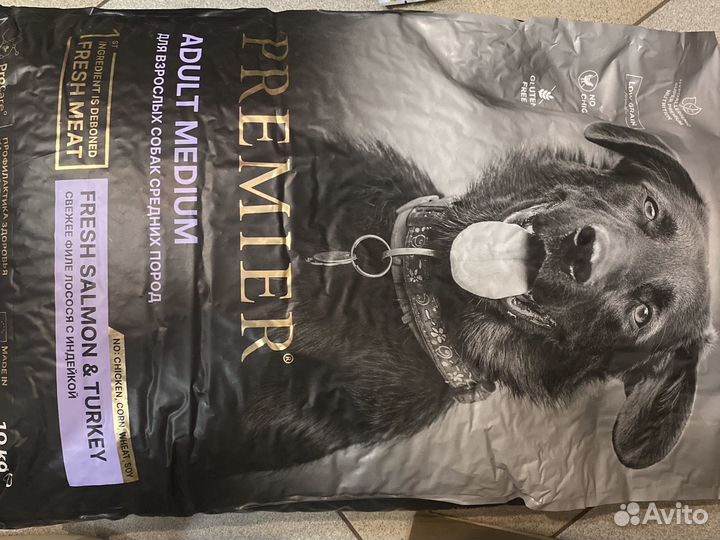 Adult medium premier