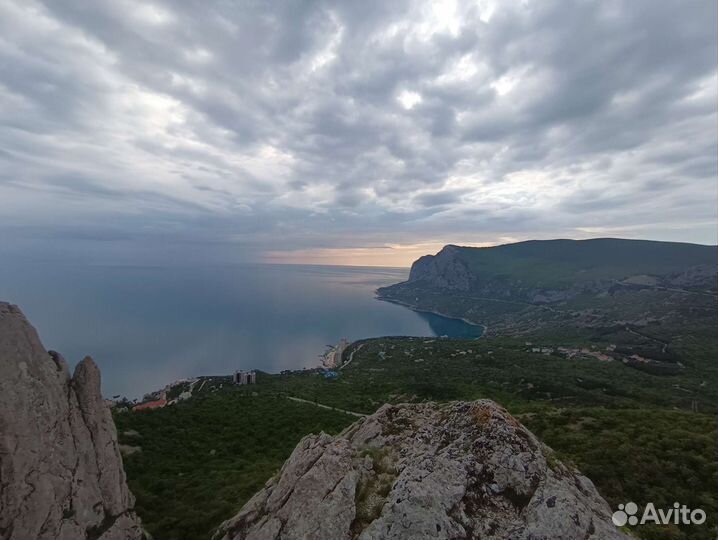 Доверительное управление Недвижимости