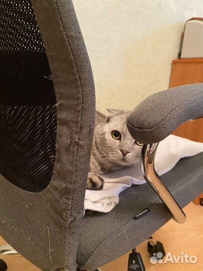 Компьютерный стул бу