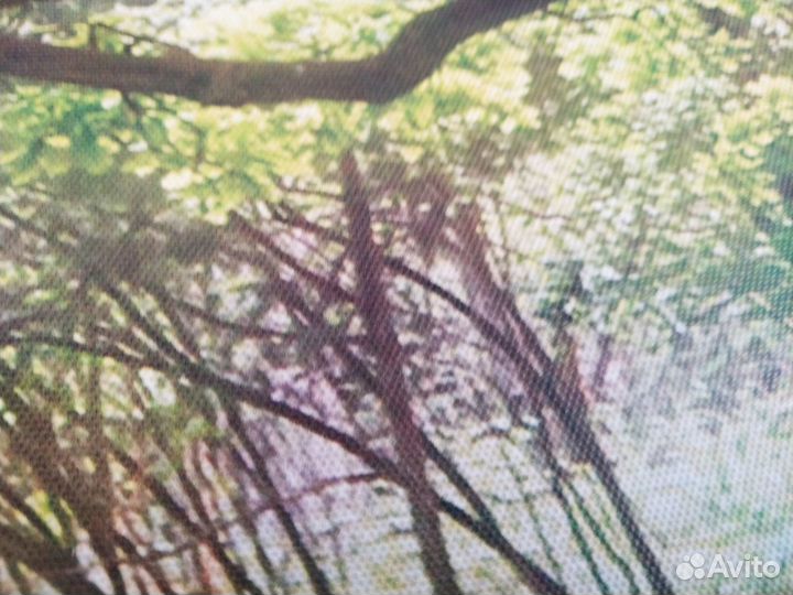 Модульная картина Лес