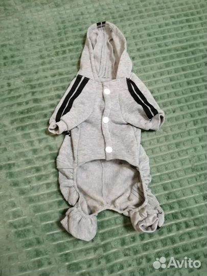 Одежда для собак