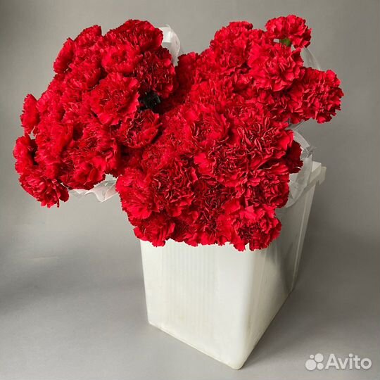 Гвоздика красная/ цветы оптом