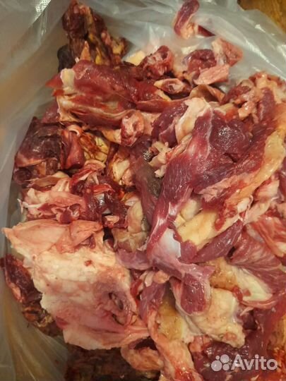 Обрезь мясная говядина