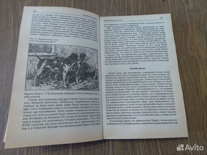 Собаки охотничьи. Сабанеев Л. П. 1992 г