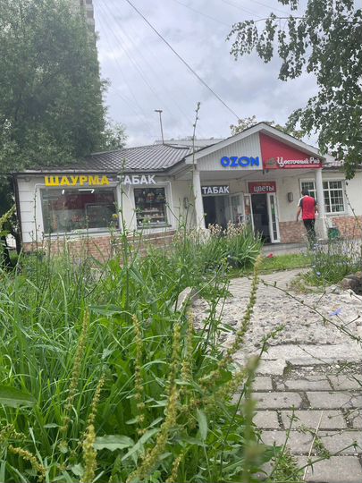 Общепит, 12 м²