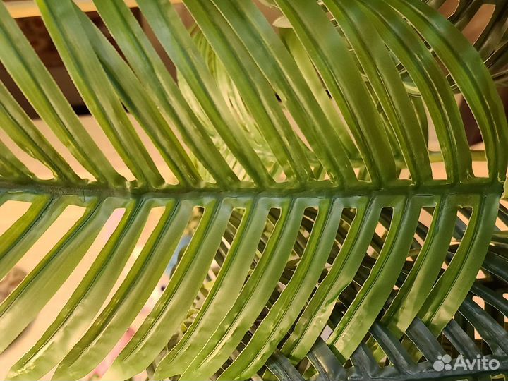 Искусственная пальма