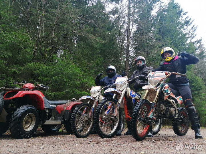 Прокат аренда квадроциклов багги