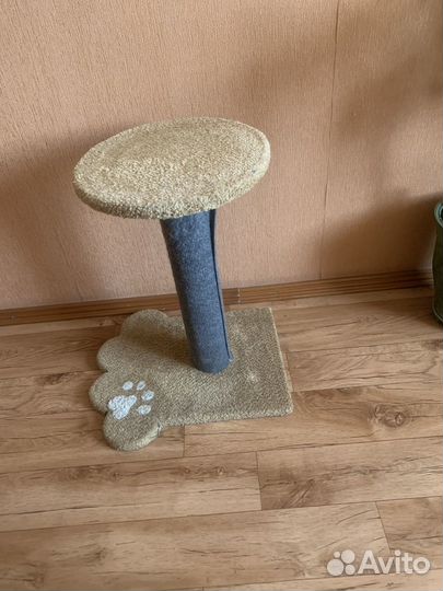 Когтеточка для кошек бу