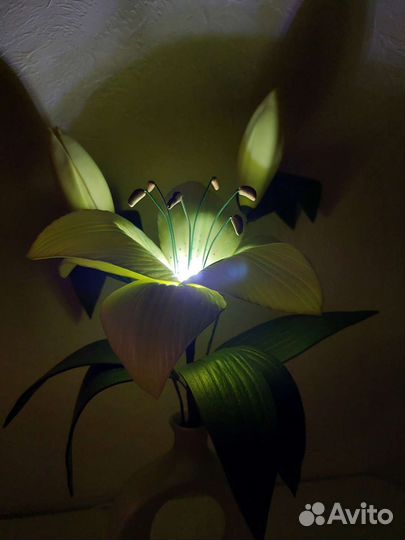 Цветы лилии