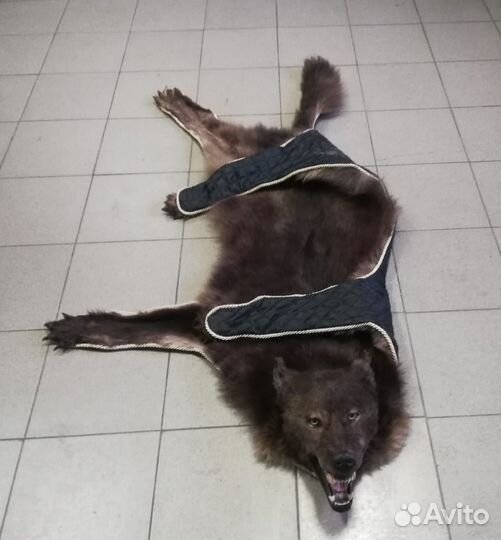 Шкура волка чёрная, ковёр(тонированный)