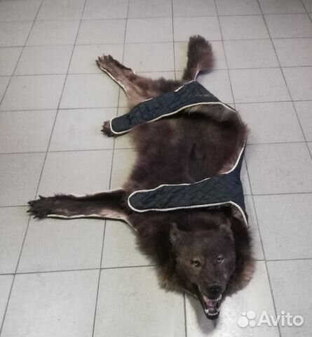 Шкура волка чёрная, ковёр(тонированный)