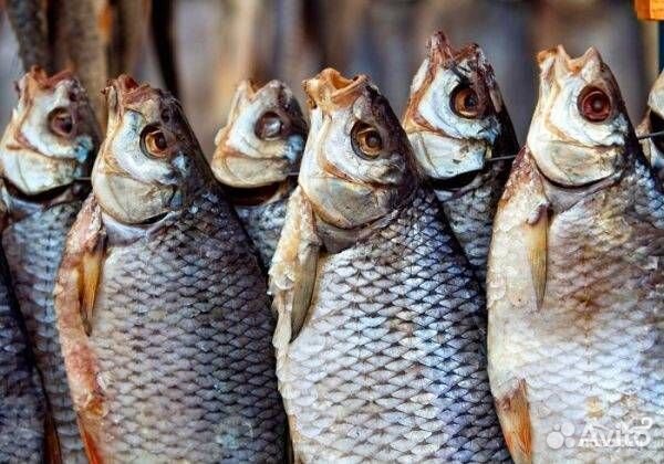 Вяленая плотва домашняя