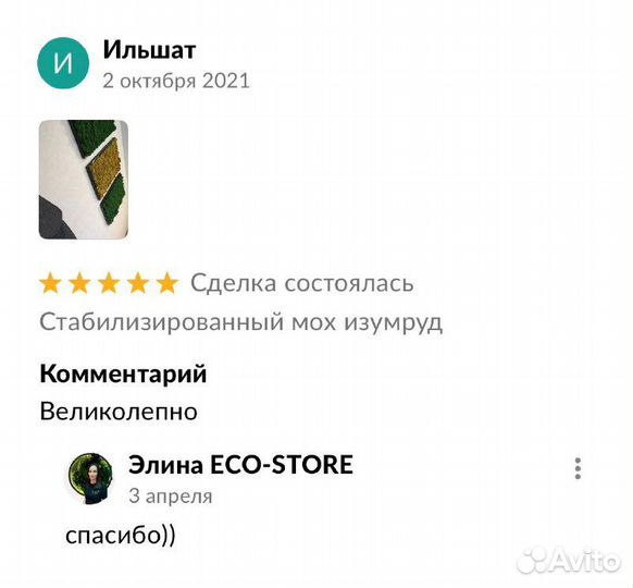 Фитопанно из мха 50 см