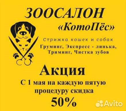 Стрижка собак и кошек