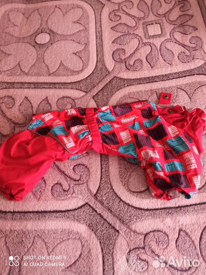 Комбинезоны для собачки