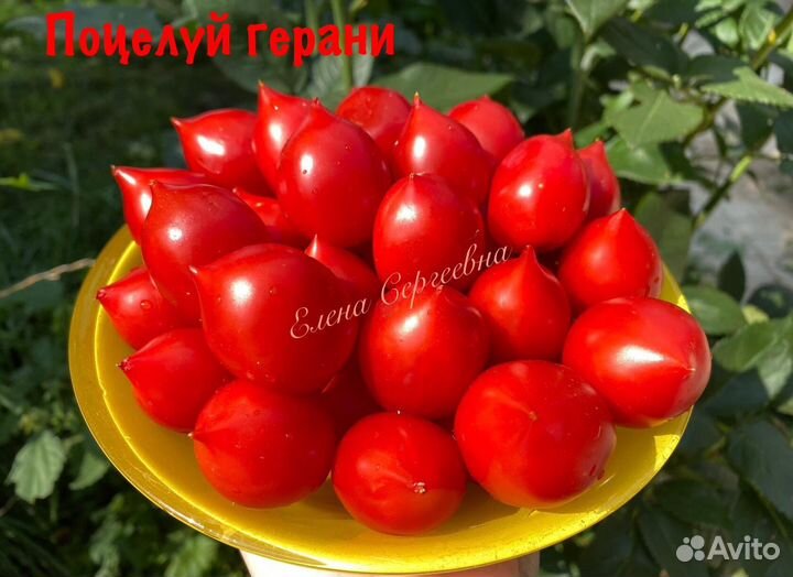 Семена томатов (2)