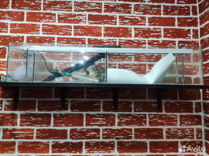 Фитофильтр размеры 100*25*20