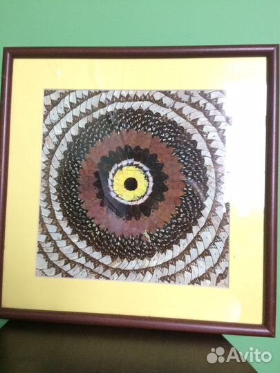 Панно декоративное из крыльев бабочек