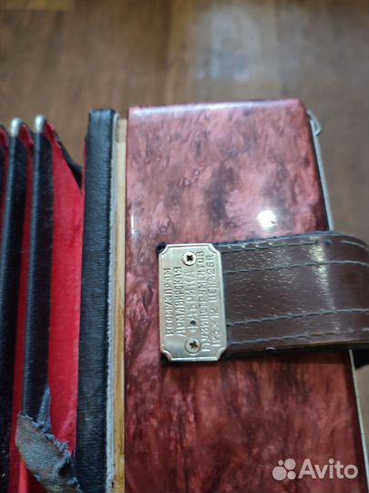 Гармонь Кубань