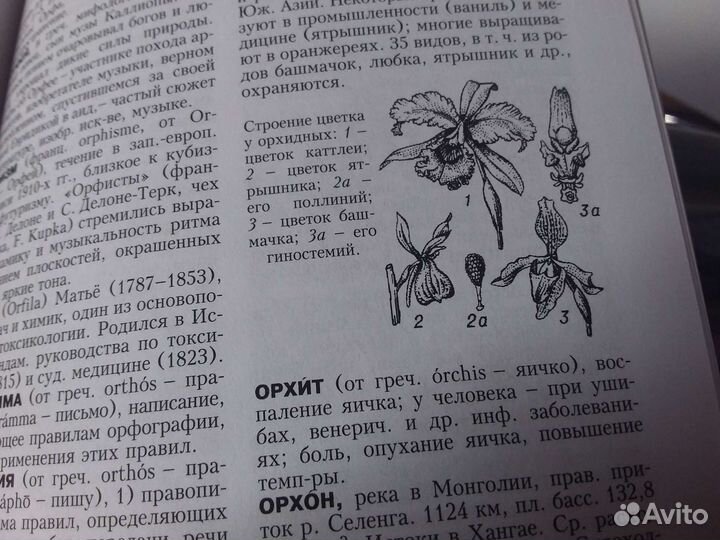 Энциклопедия 20 томов