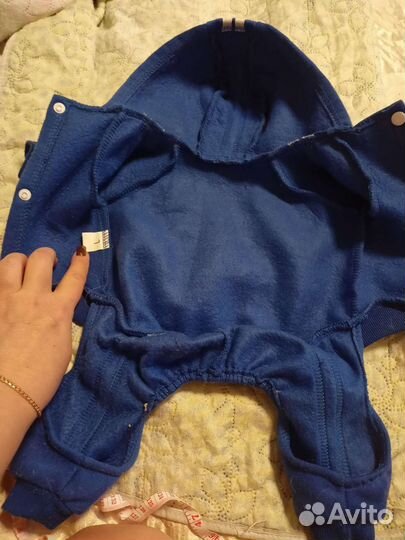 Вещи на собачку