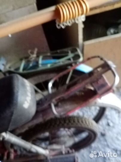 Мопед карпаты