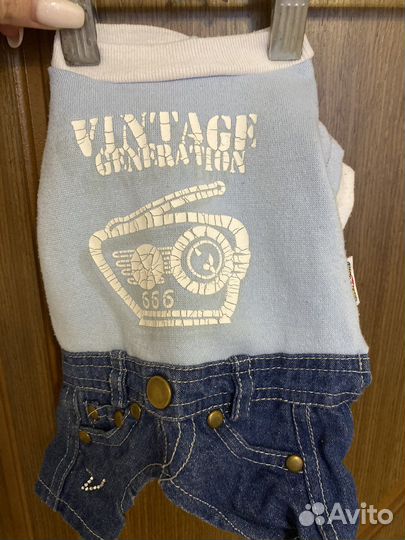 Одежда для собак мелких пород