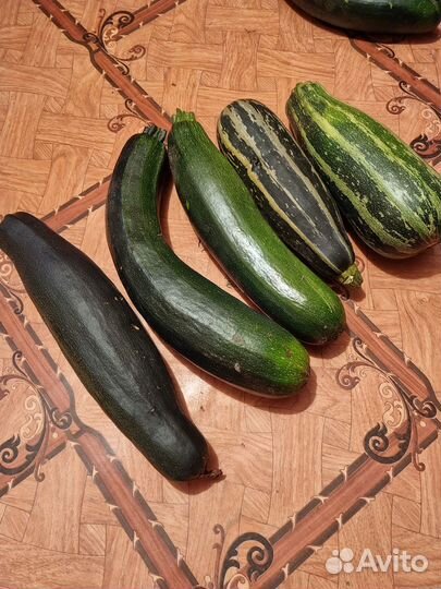 Кабачки домашние