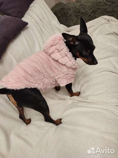 Меховое манто для собаки среднего размера