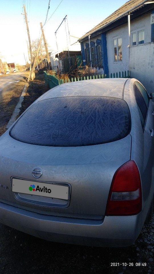 Nissan Primera: фото владельца