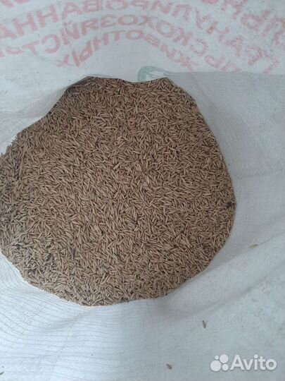 Сельхоз корма овес