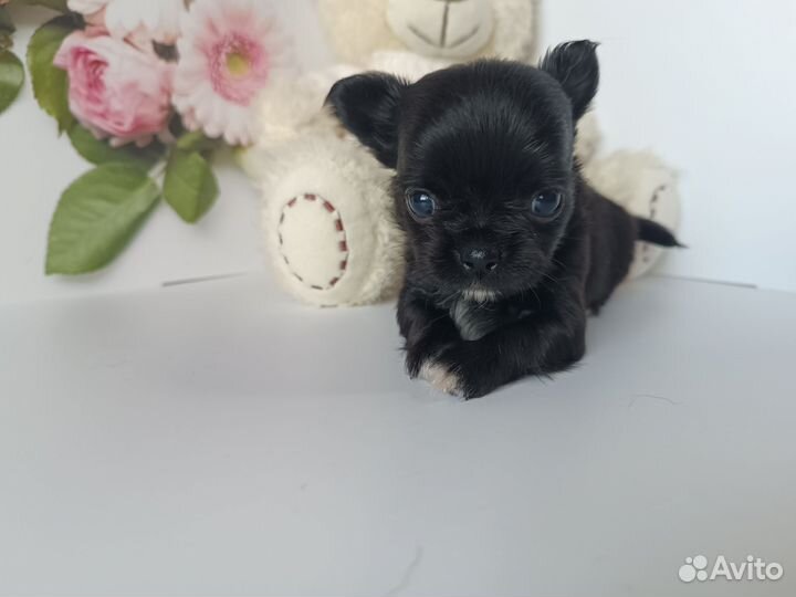 Малыш Космос