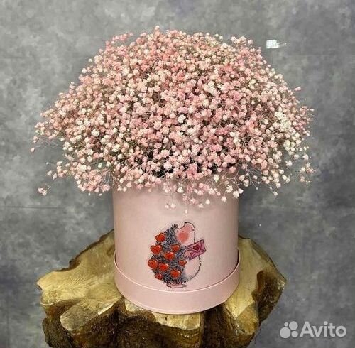 Цветы гипсофилы