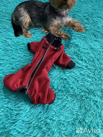 Зимний костюм для собак
