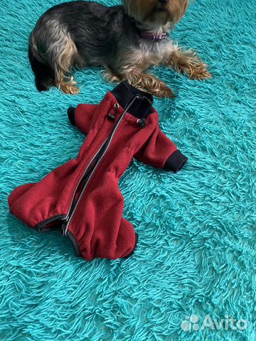 Зимний костюм для собак