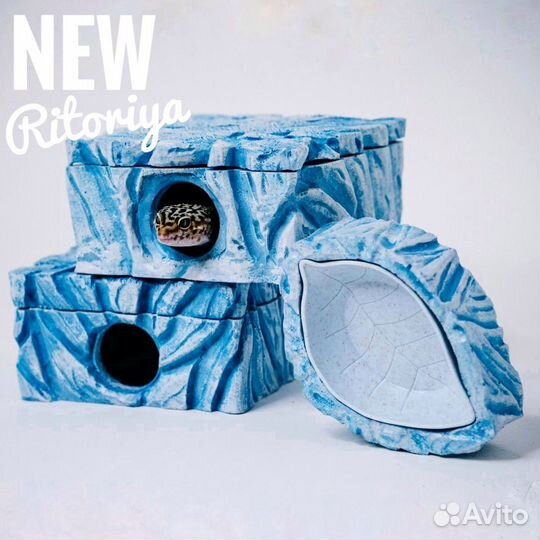 Влажная камера для рептилий, укрытие и поилка