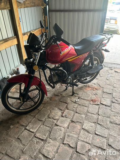 Альфа спорт