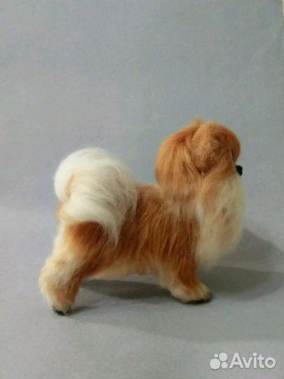 Игрушки из шерсти. Собачка шпиц