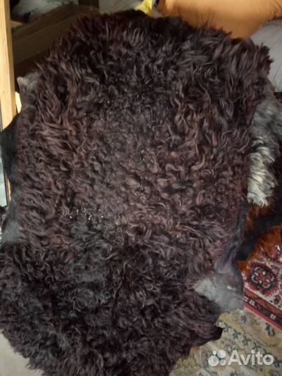 Шкура овечья