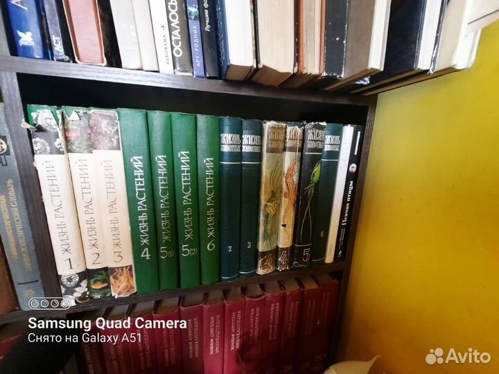 Энциклопедии жизнь растений жизнь животных