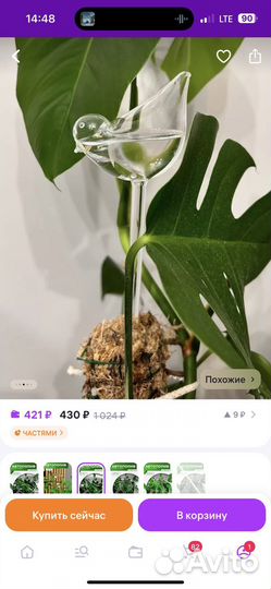 Автополив для комнатных растений