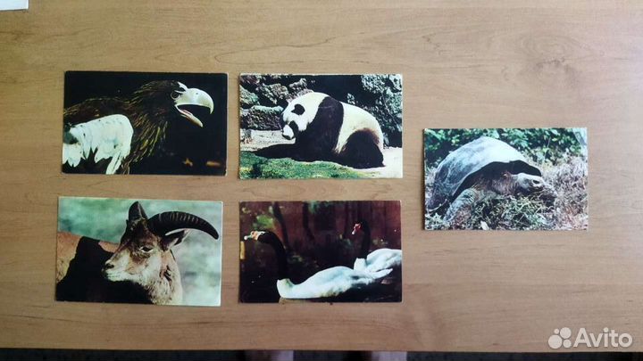 Открытки СССР