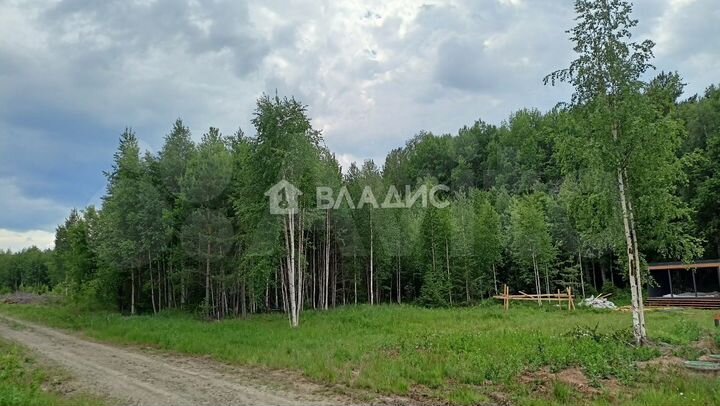 Участок 4,51 га (СНТ, ДНП)