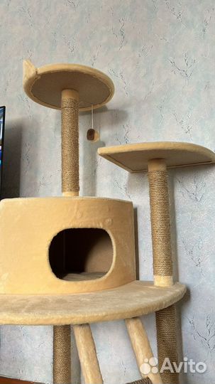 Домик для кошки с когтеточкой б/у