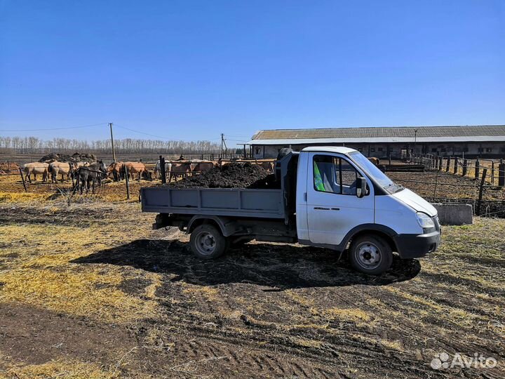 Конский навоз